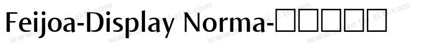 Feijoa-Display Norma字体转换
